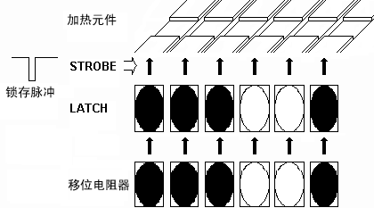 热敏打印头从移位电阻器到锁存器的数据输出