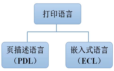 打印语言分类