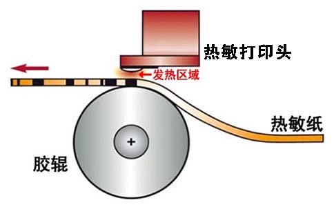胶辊与热敏打印头