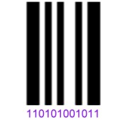 The encoding of the 